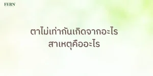 ตาไม่เท่ากันเกิดจากอะไร สาเหตุคืออะไร