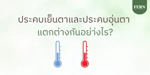 ประคบเย็นตาและประคบอุ่นตา แตกต่างกันอย่า่งไร