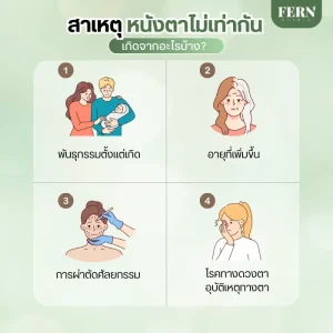 หนังตาไม่เท่ากัน เกิดจากสาเหตุอะไร?